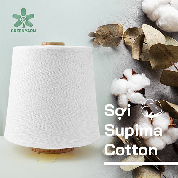 sợi Supima Cotton từ Mỹ