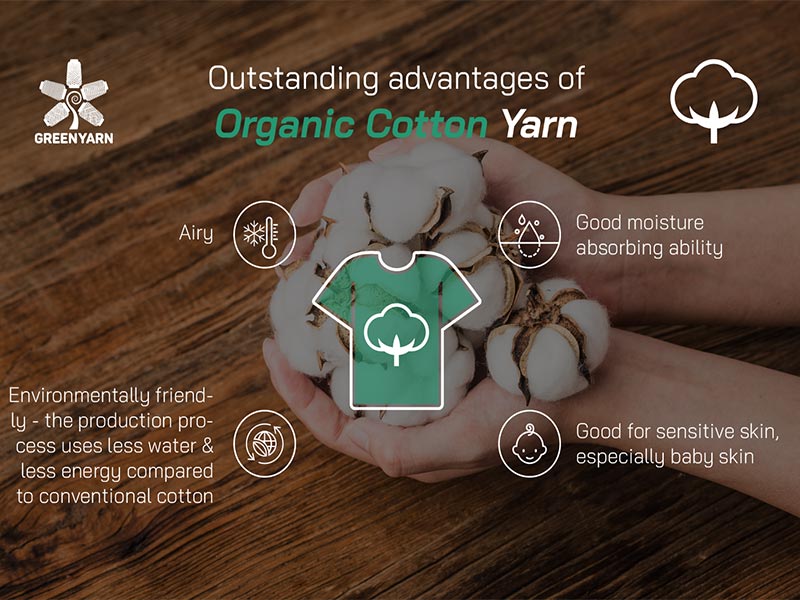 Organic Cotton yarn EN