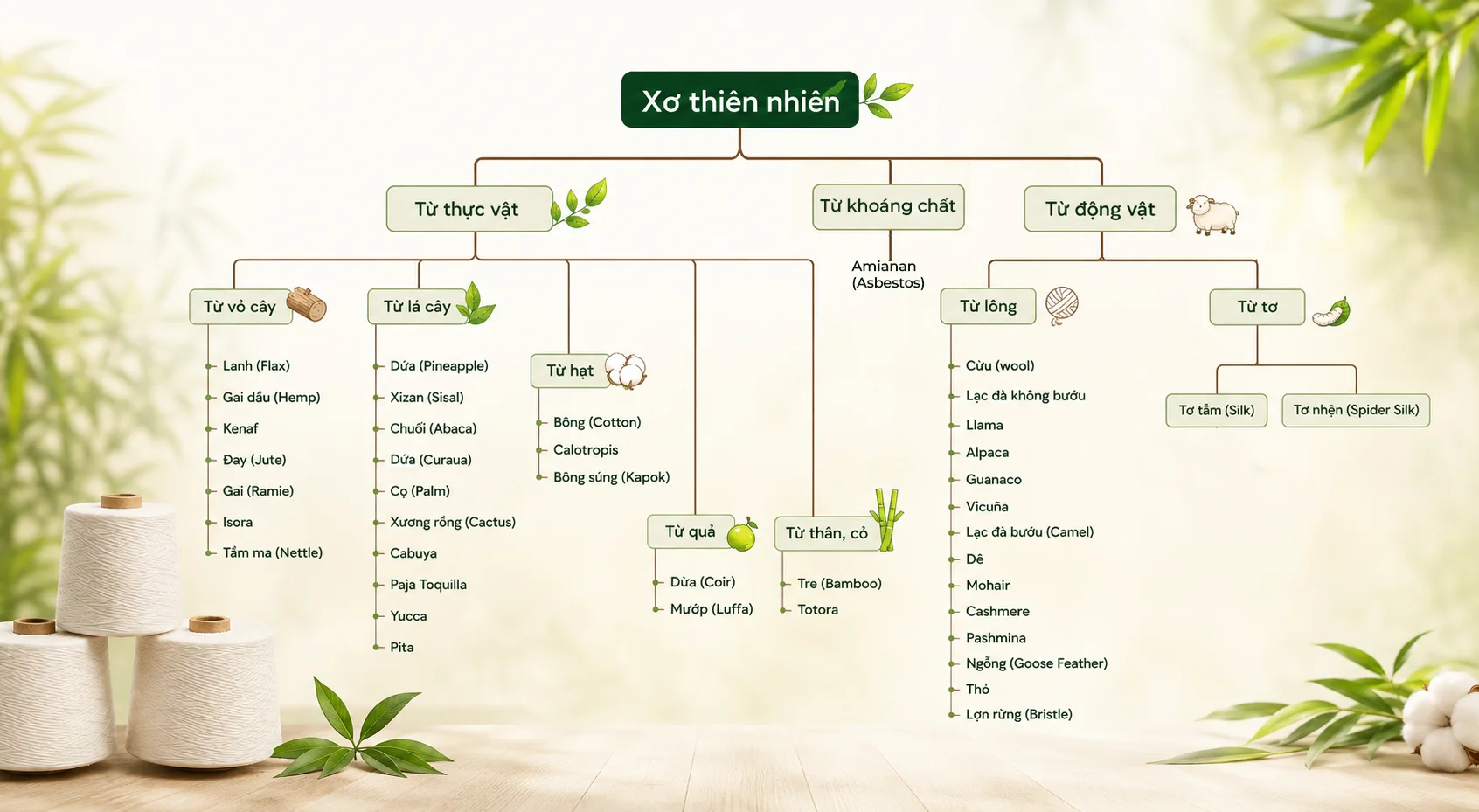 Xơ Dệt Là Gì? Có Những Nhóm Xơ Dệt Nào? 4 Xơ đồ của Xơ tự nhiên xơ dệt