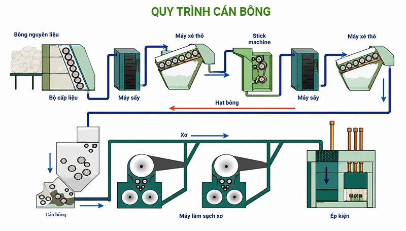Quy trình cán bông cotton