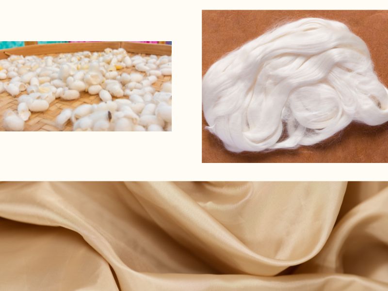 Sợi Tơ Tằm Là Gì? Đặc Tính & Nguồn Cung Tơ Thô Chất Lượng 4 Giải phẫu_ Cấu trúc sợi tơ tằm