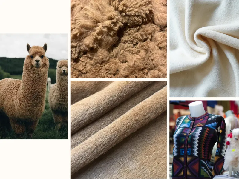 Sợi Len Là Gì? Cấu Trúc Xơ Và Các Loại Sợi Len Phổ Biến 6 Len Alpaca