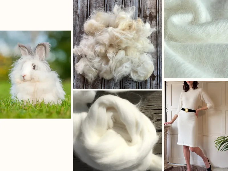 Sợi Len Là Gì? Cấu Trúc Xơ Và Các Loại Sợi Len Phổ Biến 7 Len Angora